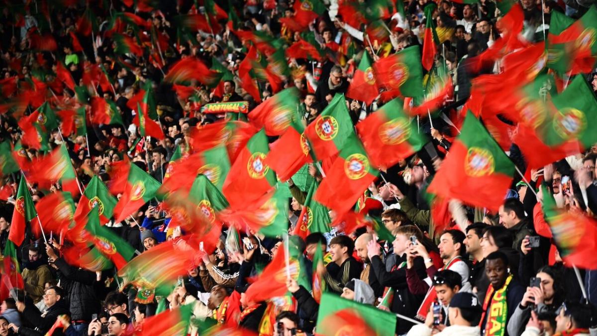 Portugal football fans wave flags